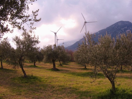 Oliveti e parco eolico